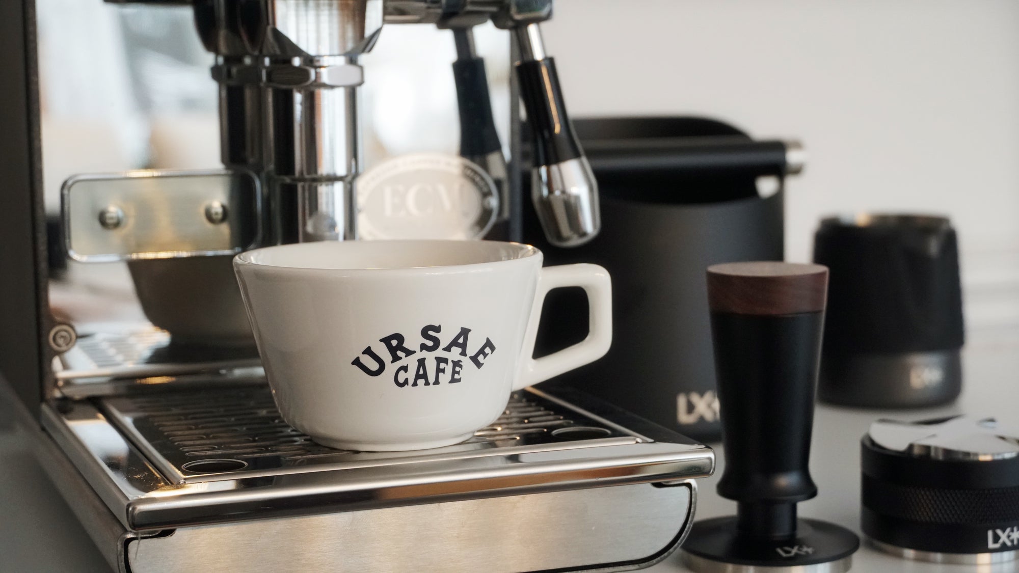 Ursae - Alpine Cup with Saucer