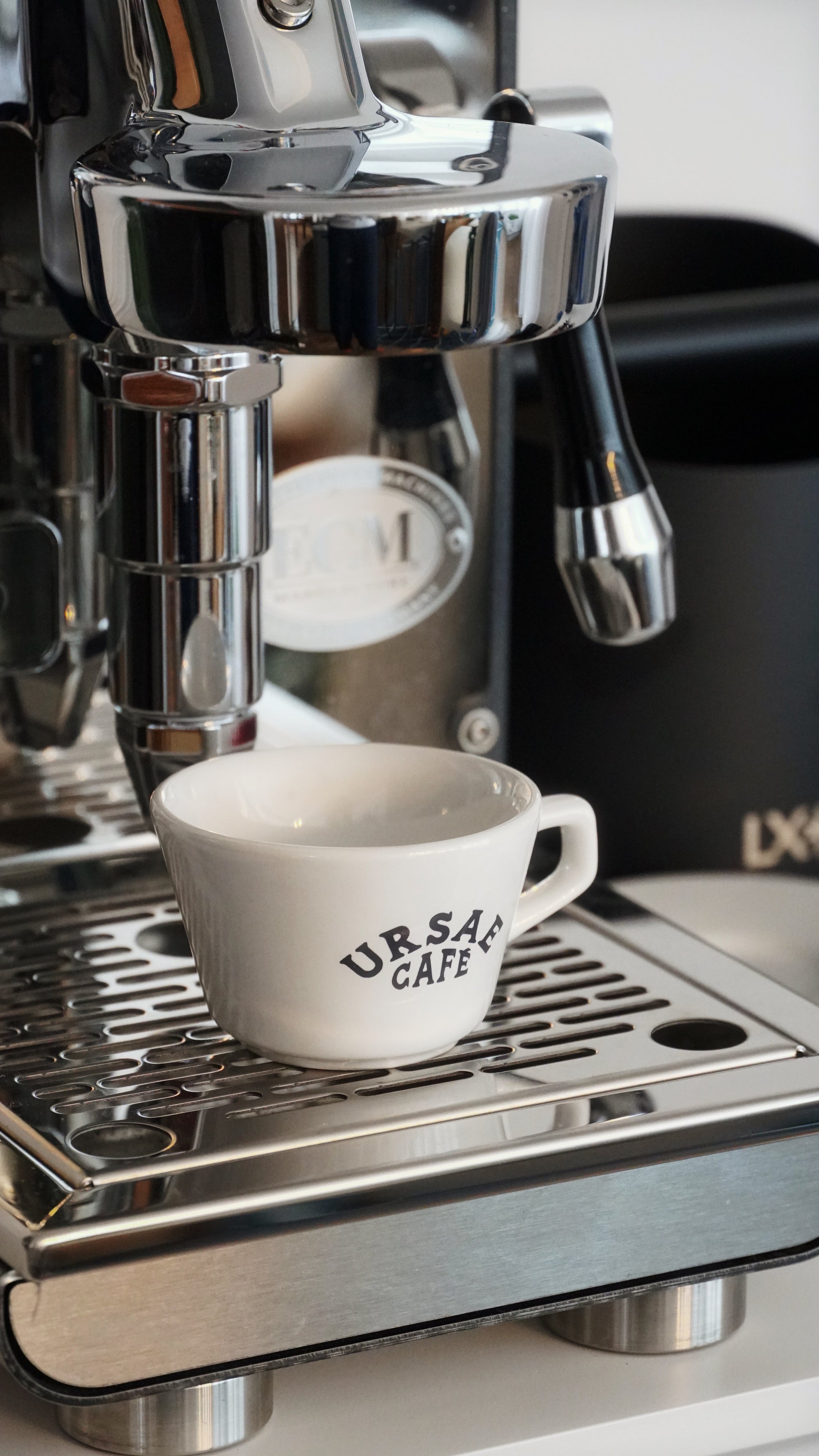 Ursae - Alpine Cup with Saucer