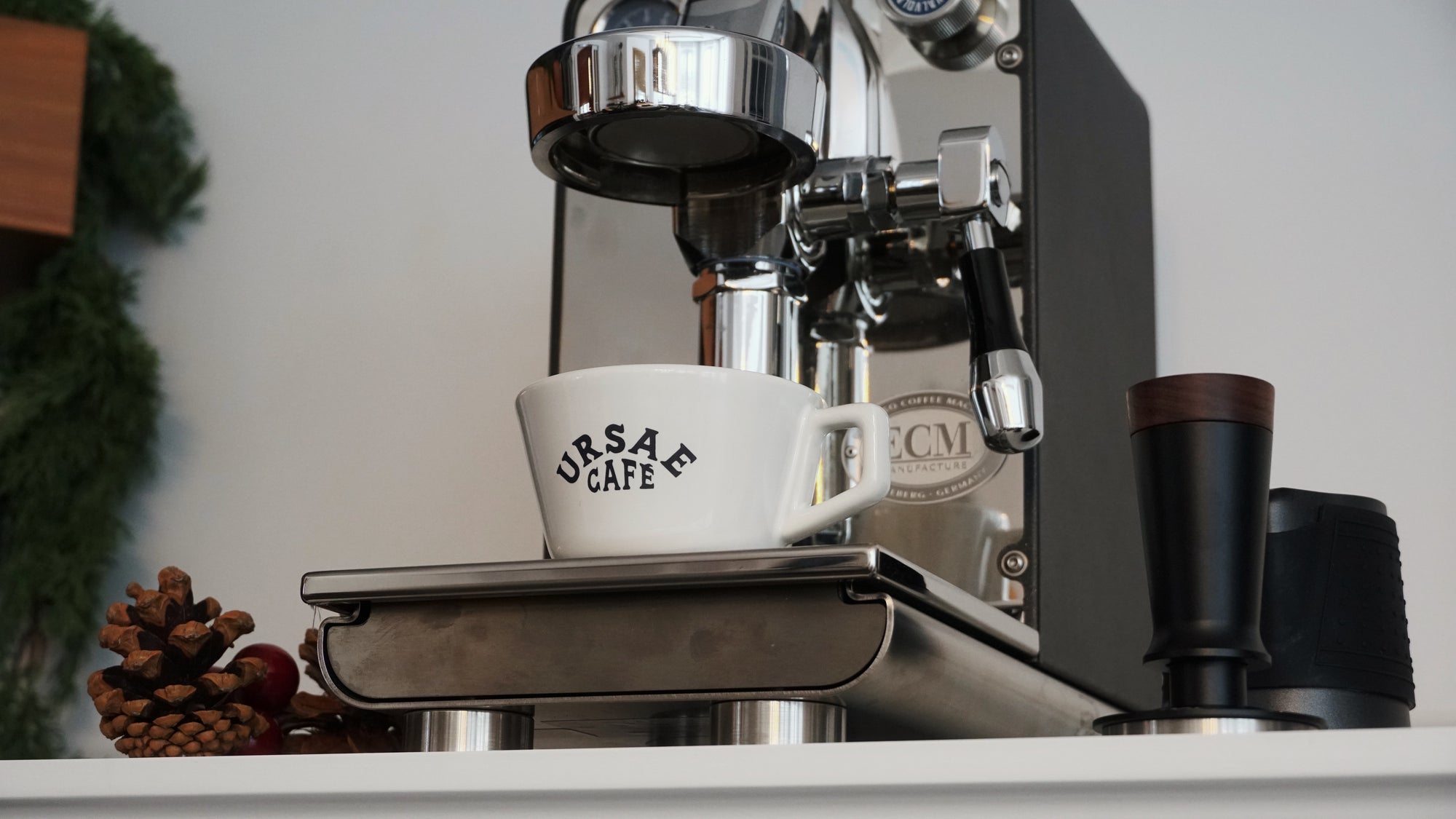 Ursae - Alpine Cup with Saucer